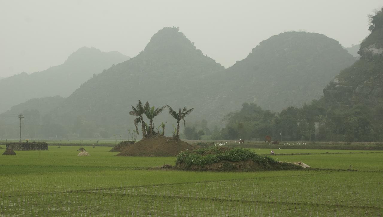 Mai'S Homestay Trang An Ninh Binh Exterior foto