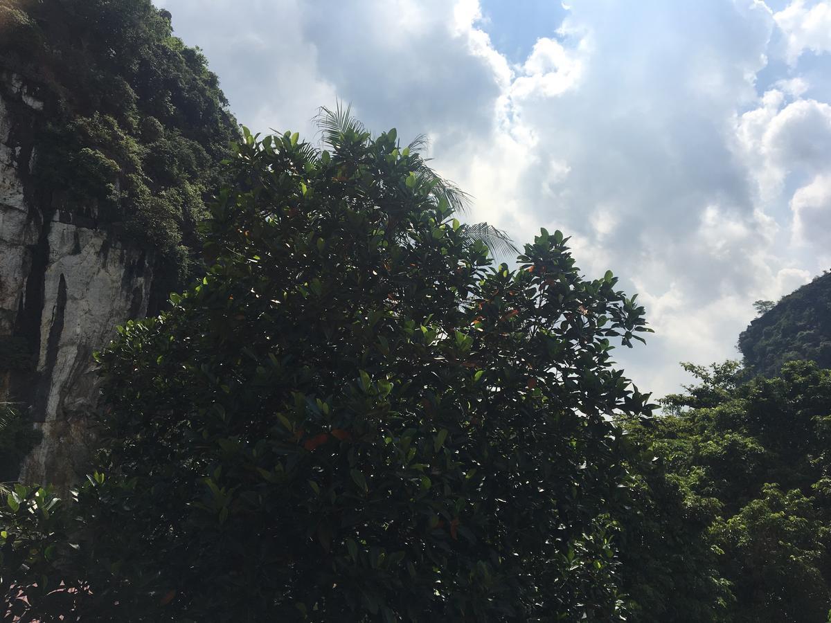 Mai'S Homestay Trang An Ninh Binh Exterior foto